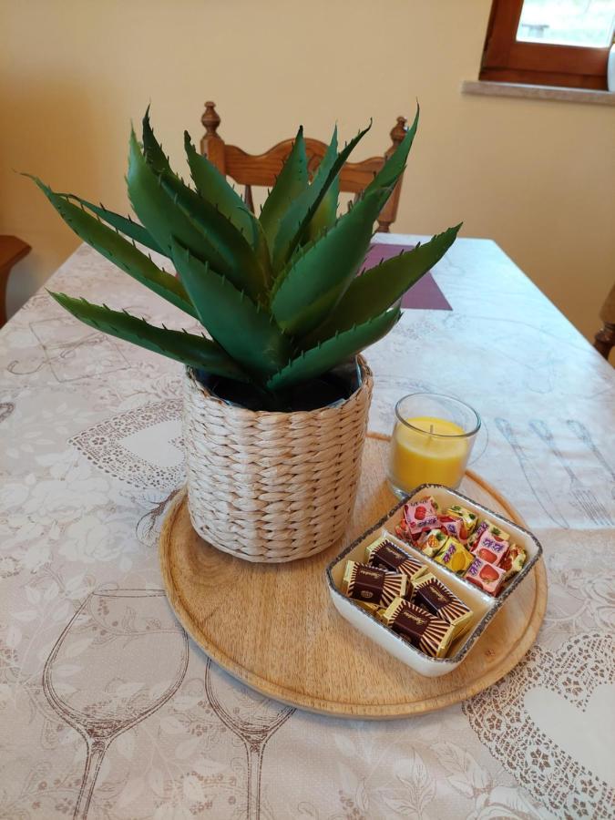 Holiday Home Cancarevic Ravna Gora Bagian luar foto
