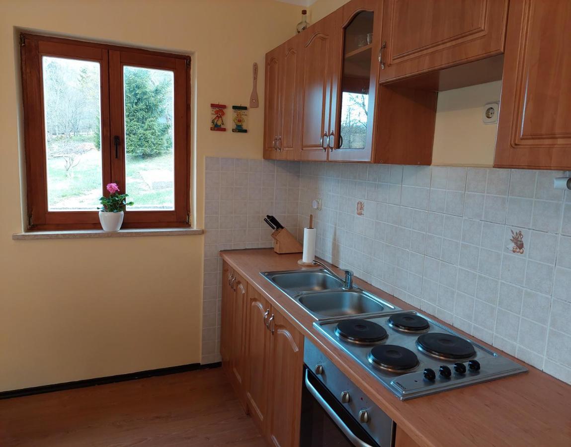 Holiday Home Cancarevic Ravna Gora Bagian luar foto